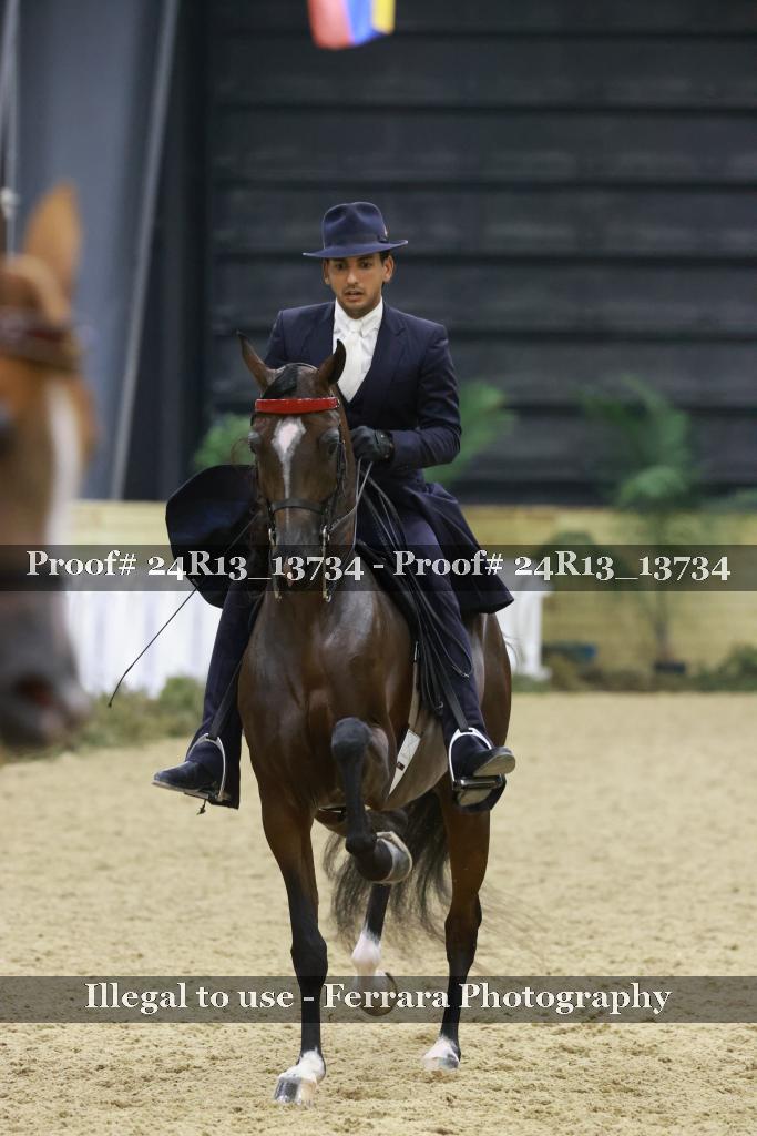 Proof 24R13_13734
