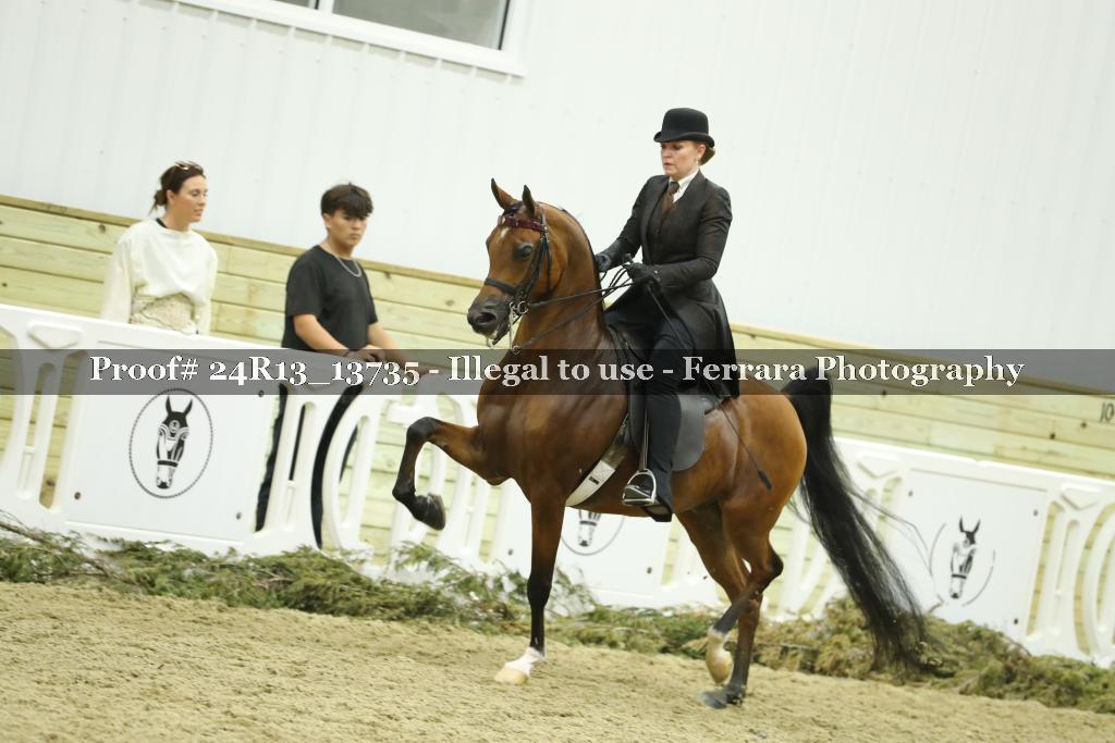 Proof 24R13_13735