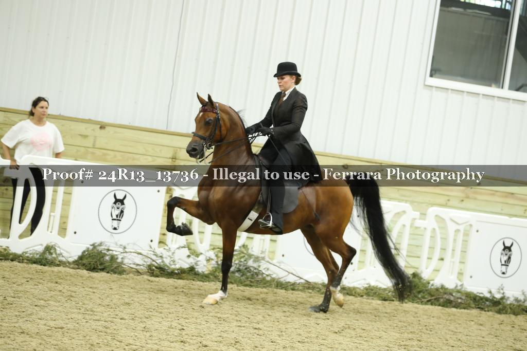 Proof 24R13_13736