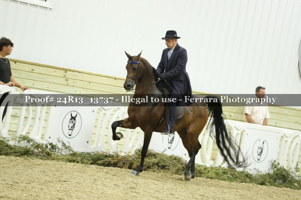 Proof 24R13_13737
