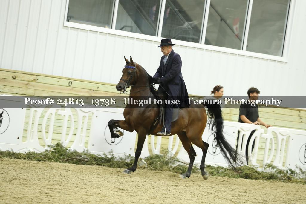 Proof 24R13_13738