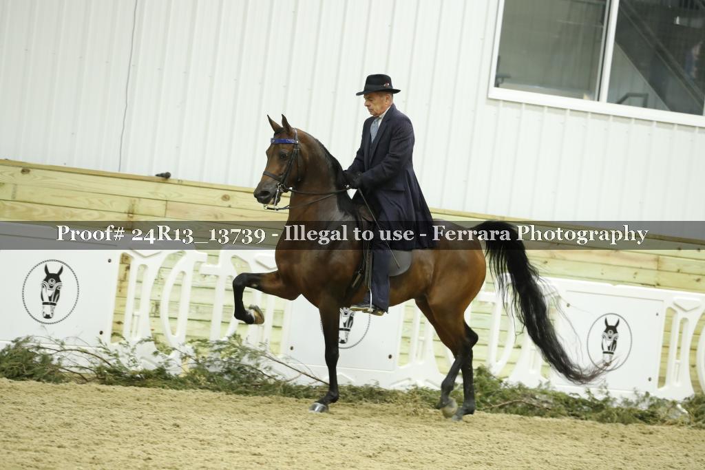 Proof 24R13_13739