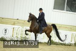 24R13_13739 proof