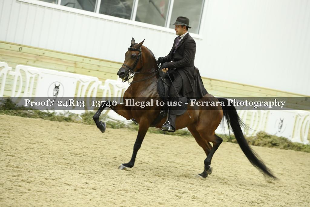 Proof 24R13_13740