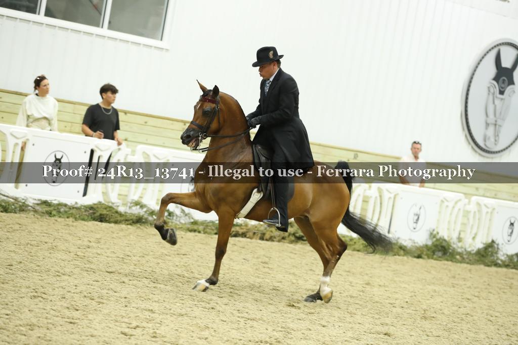 Proof 24R13_13741