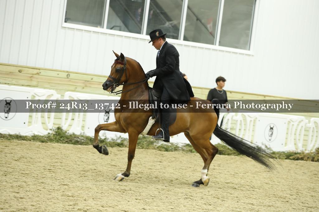 Proof 24R13_13742