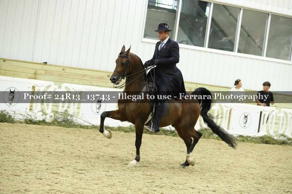 Proof 24R13_13743