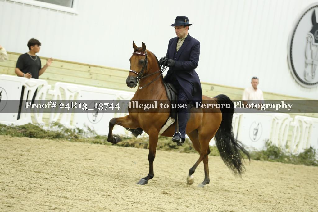 Proof 24R13_13744