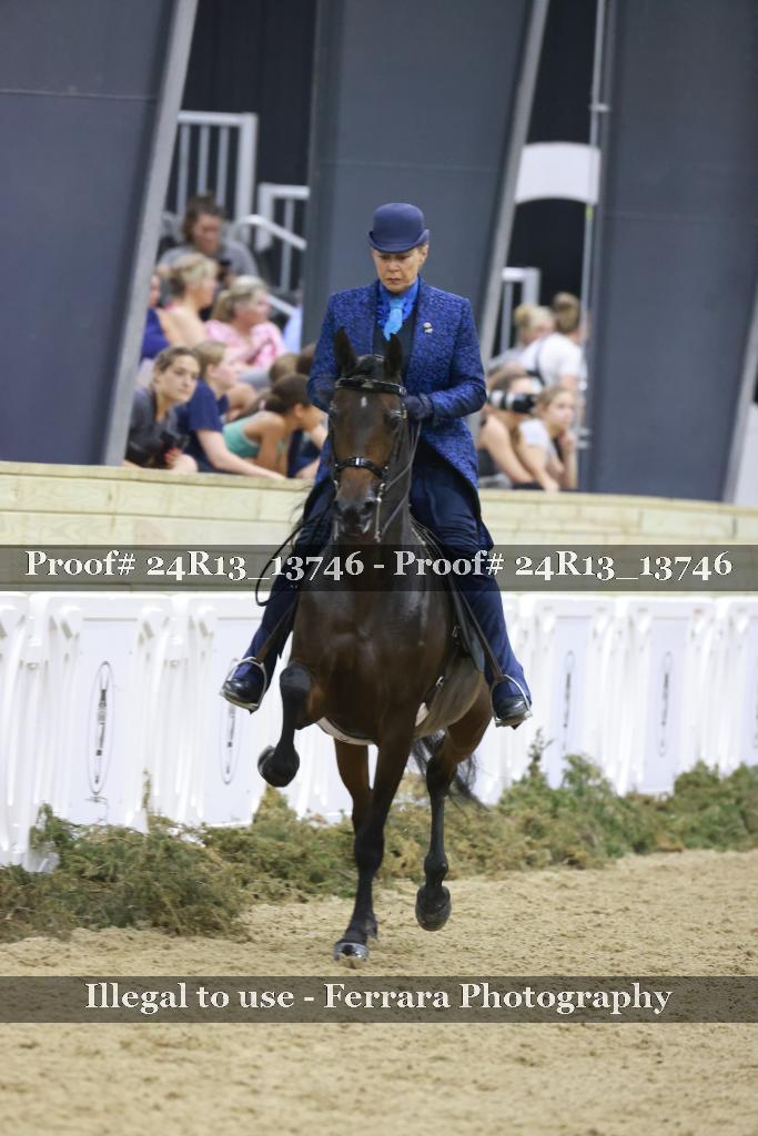 Proof 24R13_13746