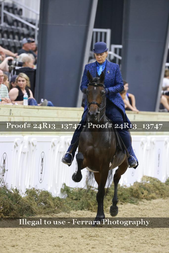 Proof 24R13_13747