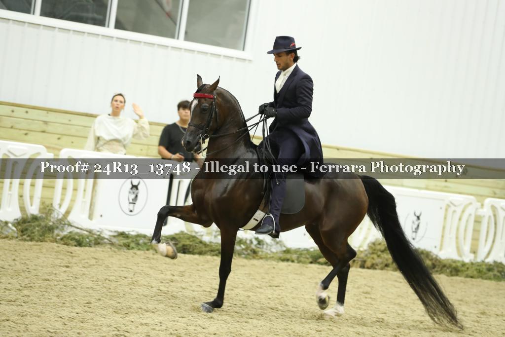 Proof 24R13_13748