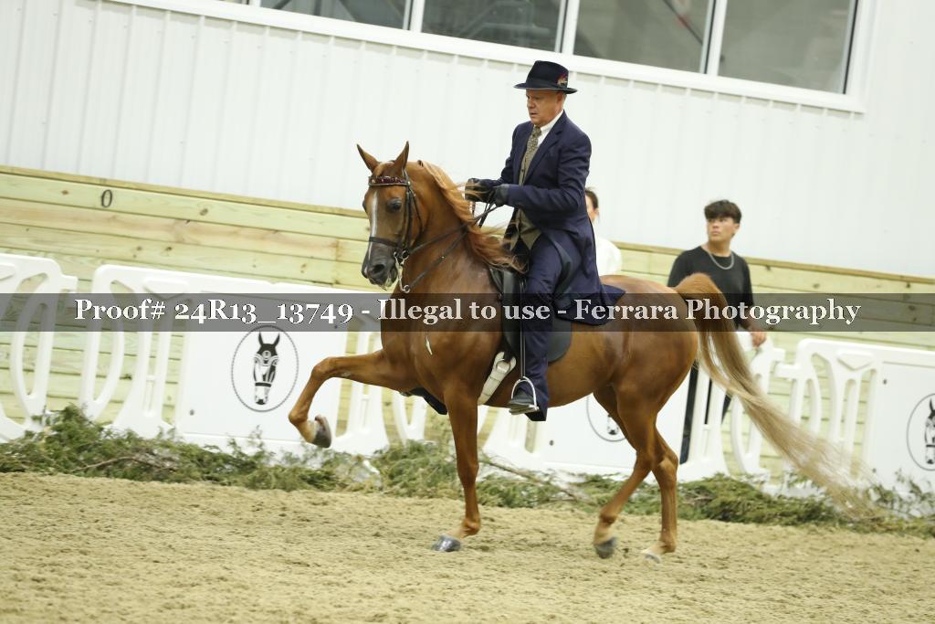 Proof 24R13_13749