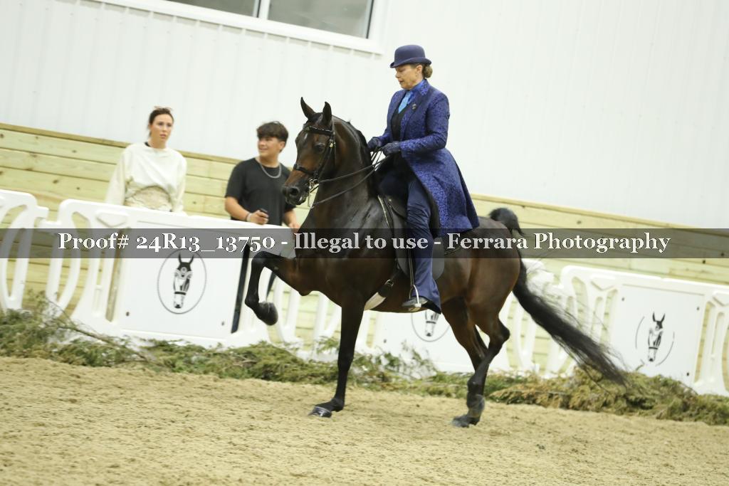 Proof 24R13_13750
