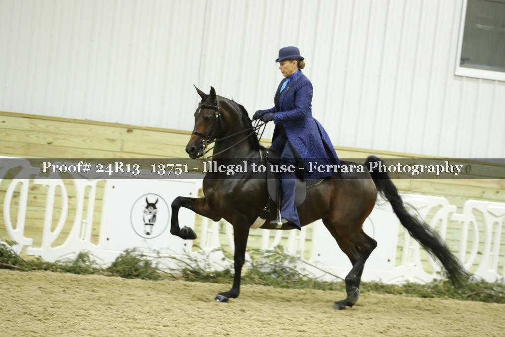 Proof 24R13_13751