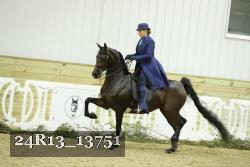 24R13_13751 proof