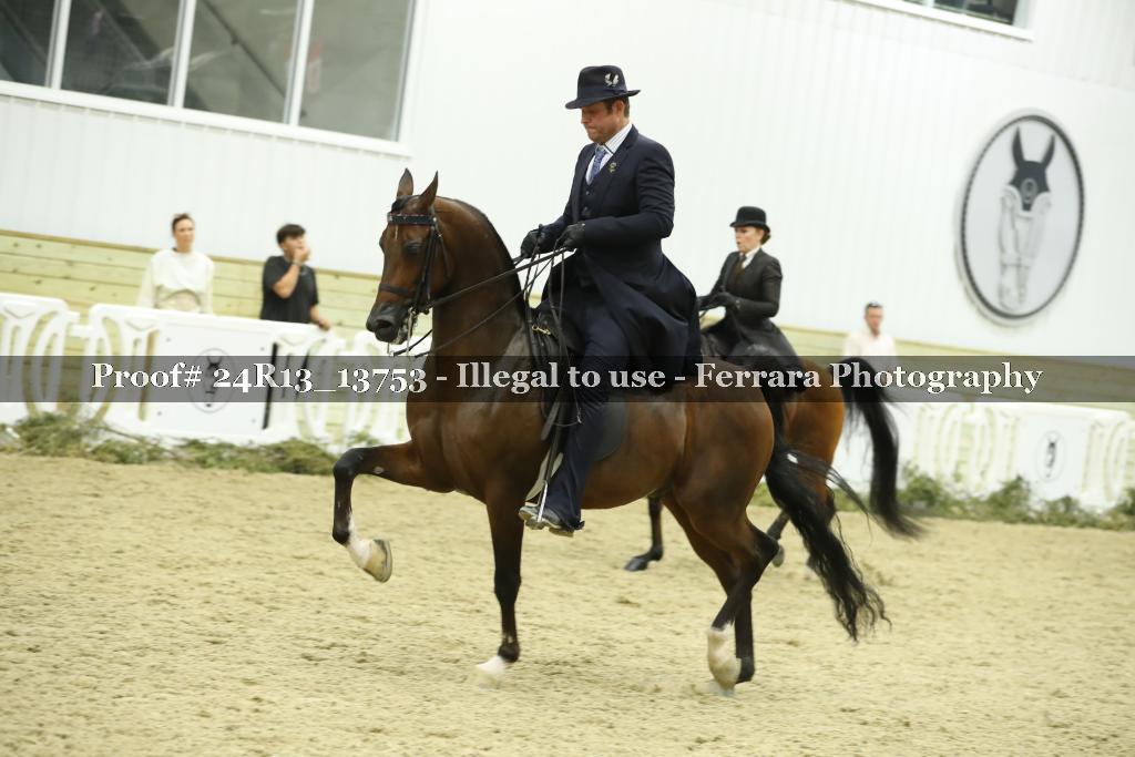 Proof 24R13_13753