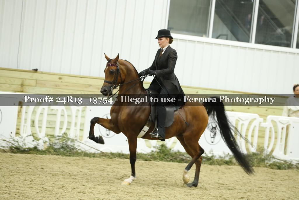 Proof 24R13_13754