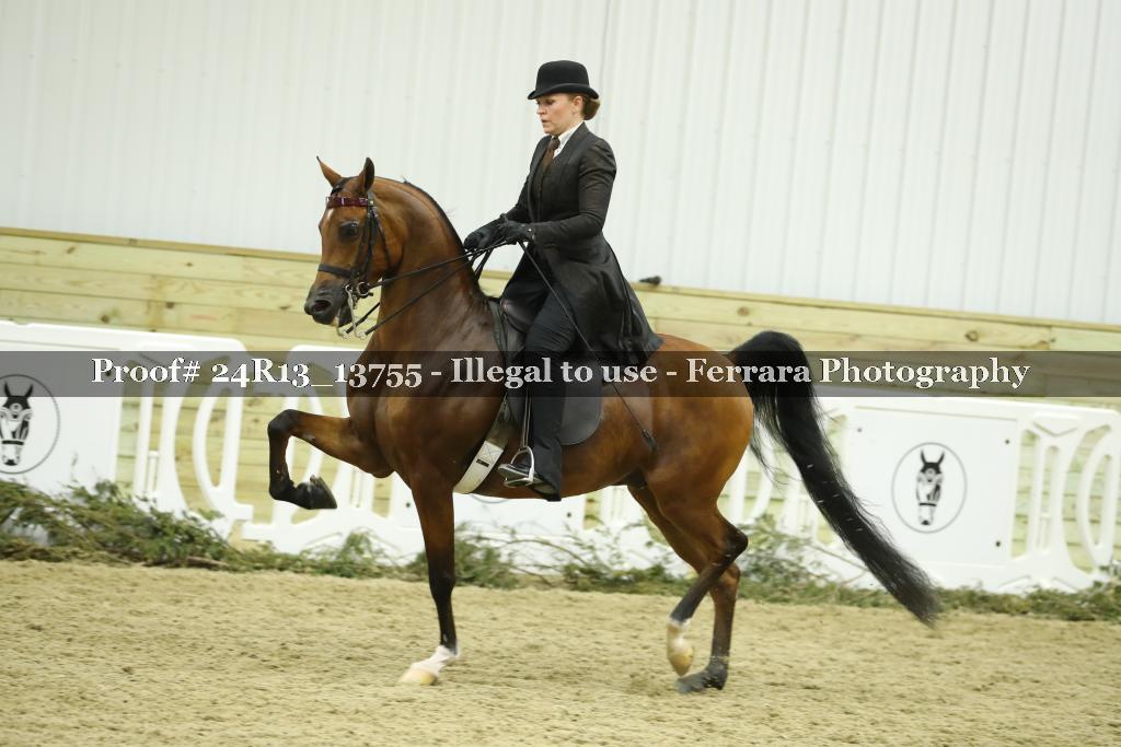 Proof 24R13_13755