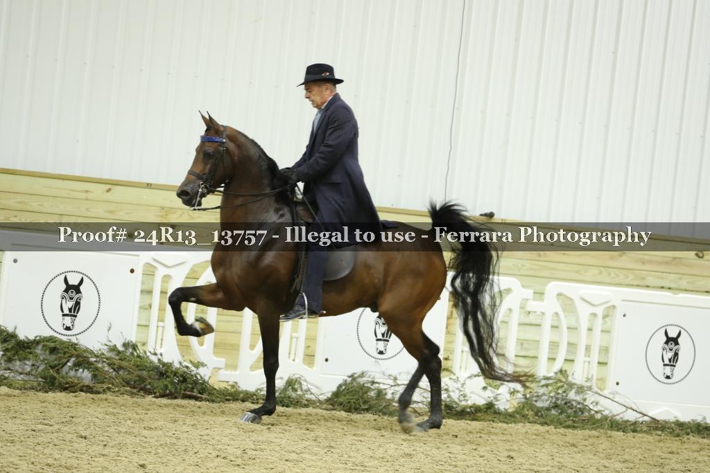 Proof 24R13_13757