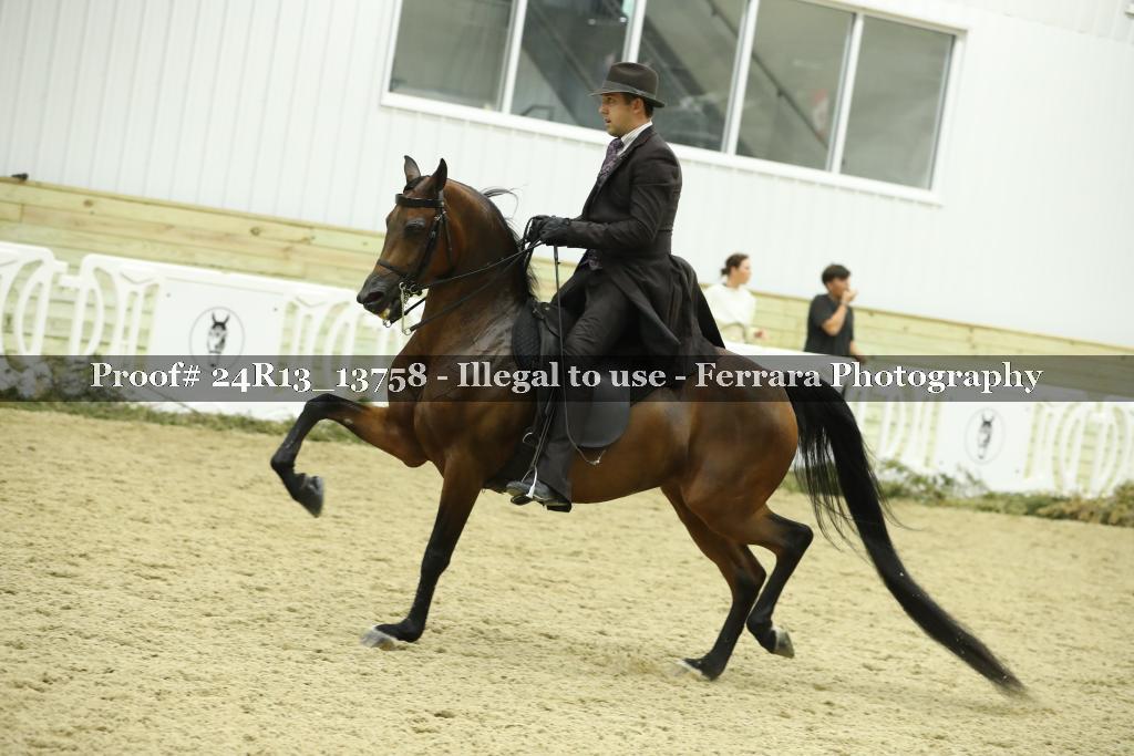 Proof 24R13_13758