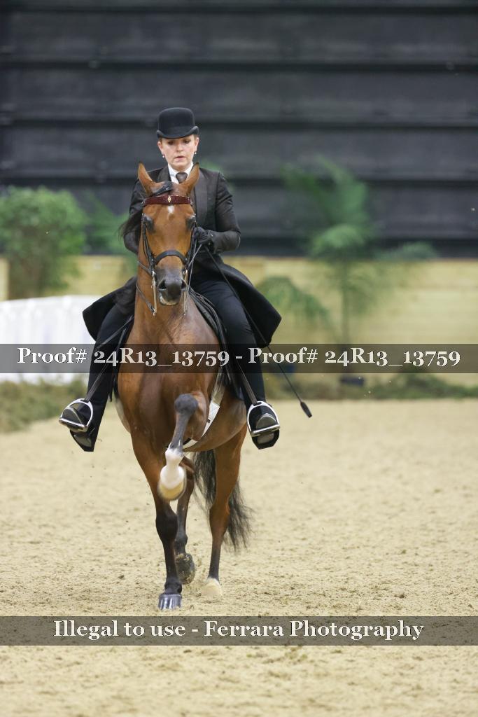 Proof 24R13_13759