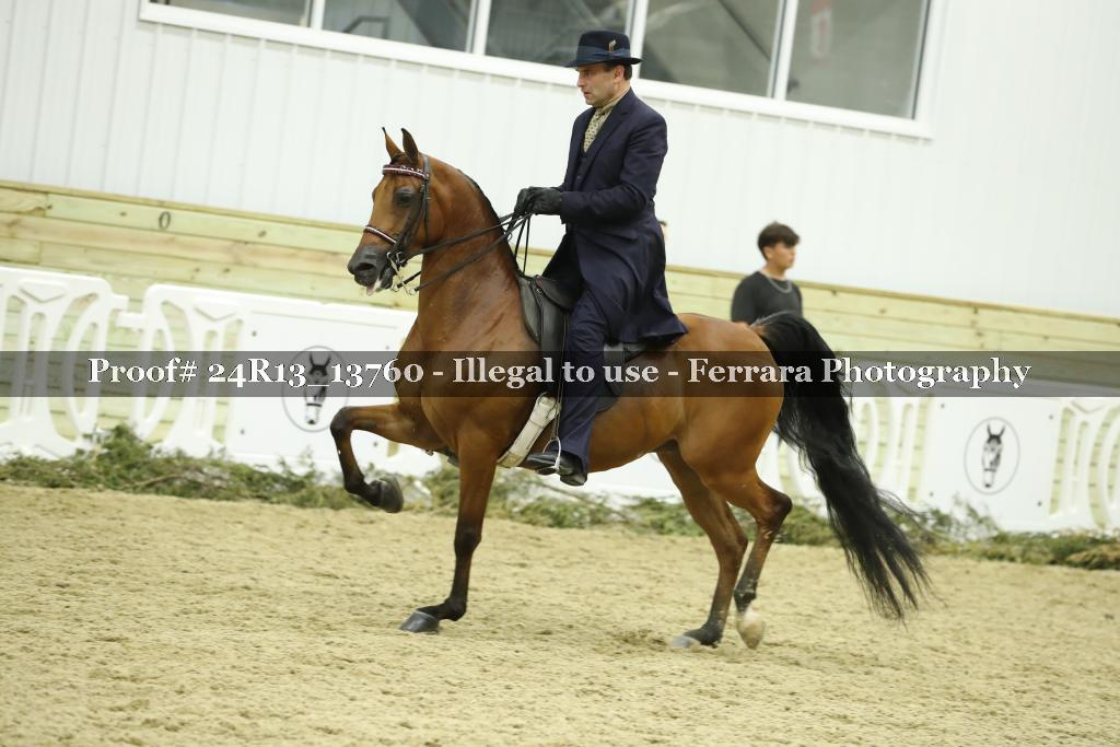 Proof 24R13_13760
