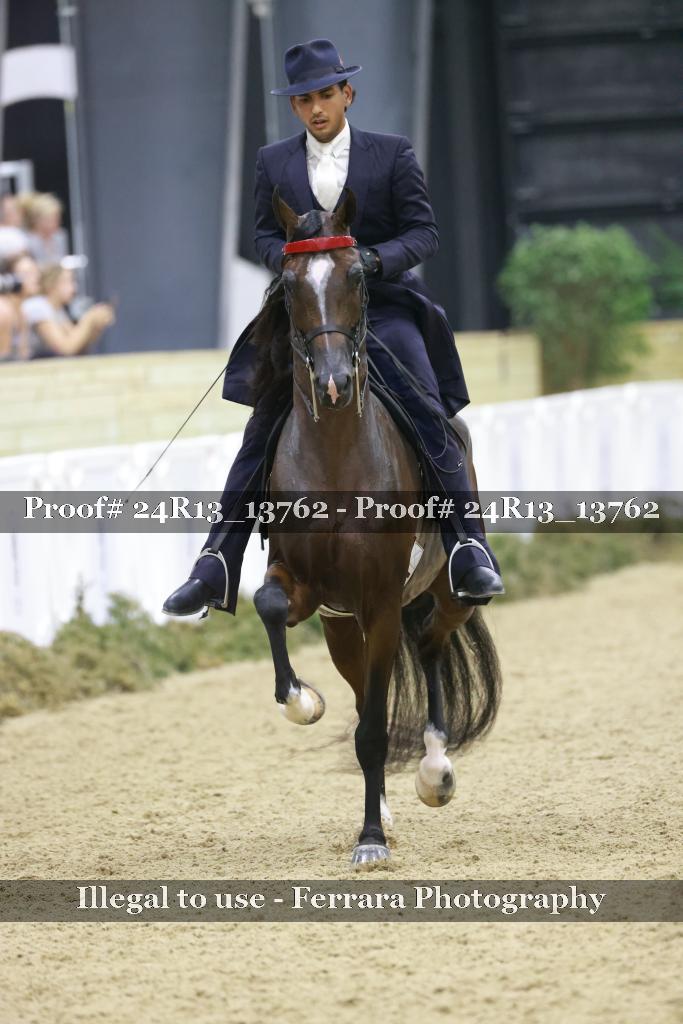 Proof 24R13_13762