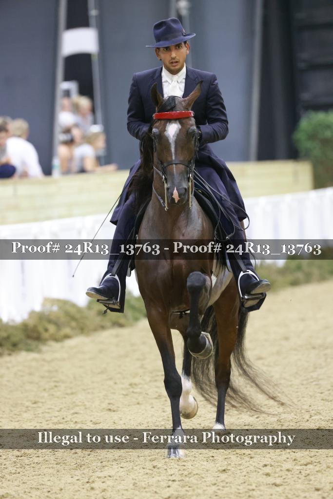 Proof 24R13_13763