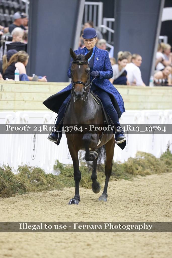 Proof 24R13_13764