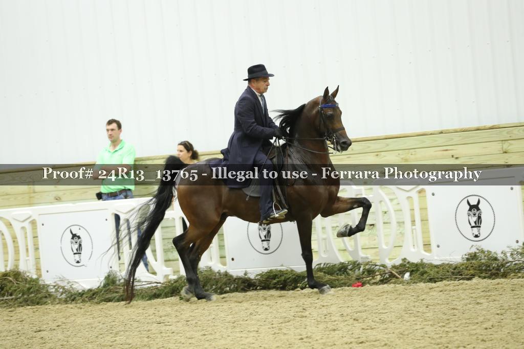 Proof 24R13_13765