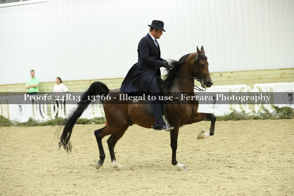 Proof 24R13_13766