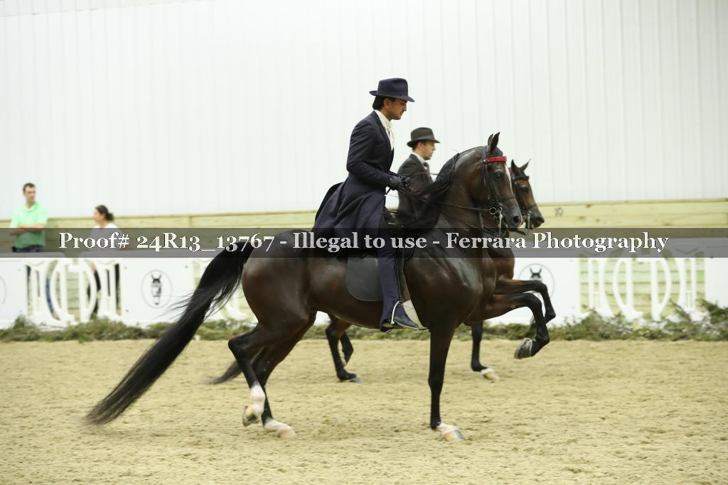 Proof 24R13_13767