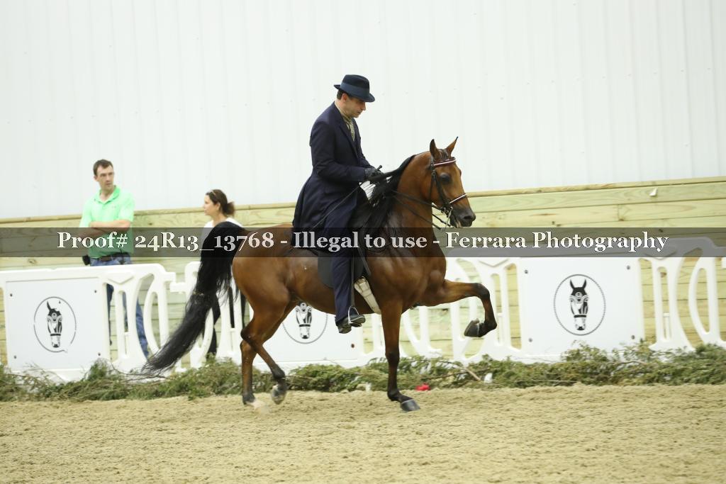 Proof 24R13_13768