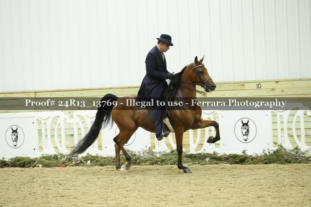Proof 24R13_13769