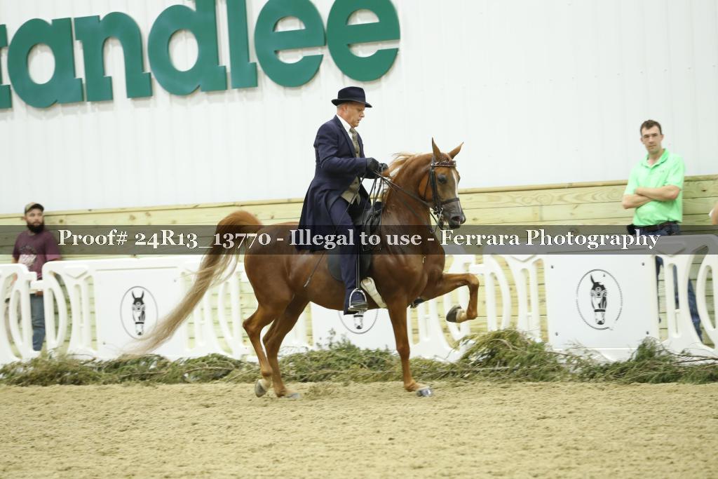 Proof 24R13_13770