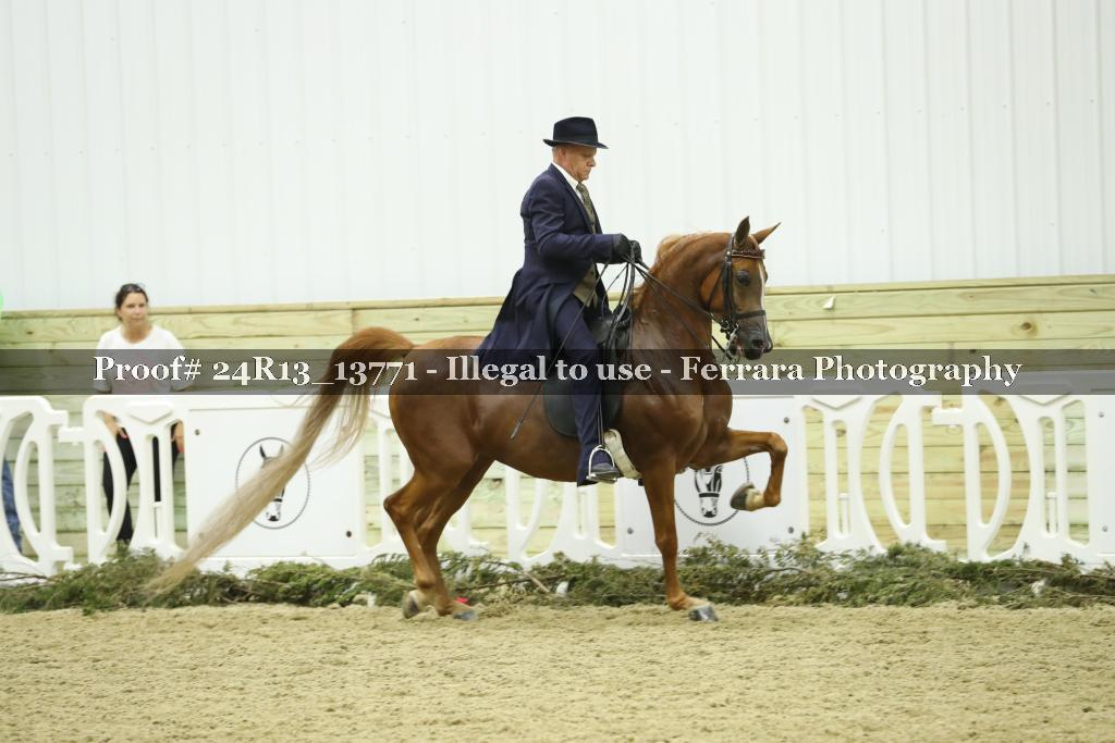Proof 24R13_13771