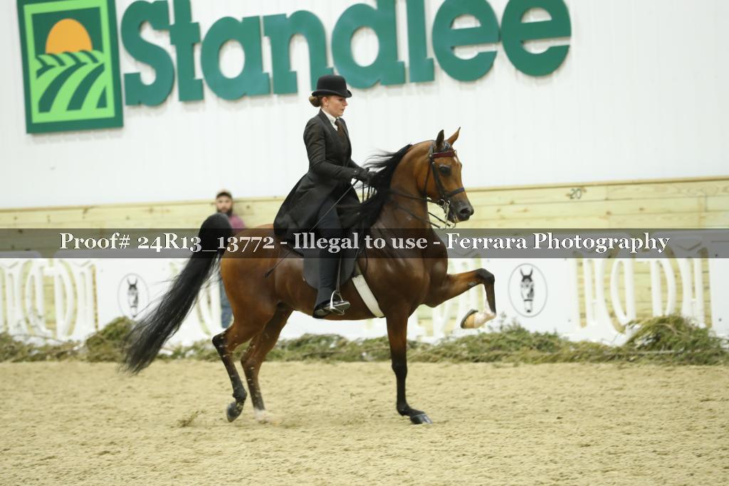 Proof 24R13_13772