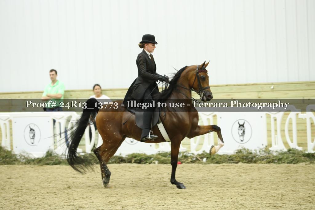 Proof 24R13_13773