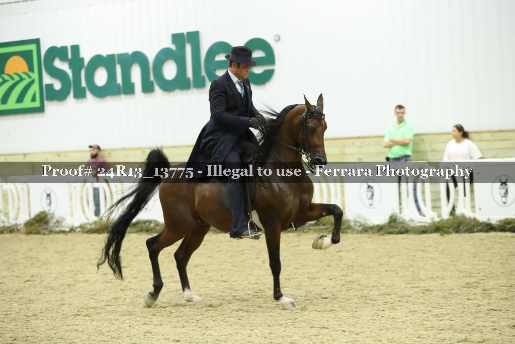 Proof 24R13_13775