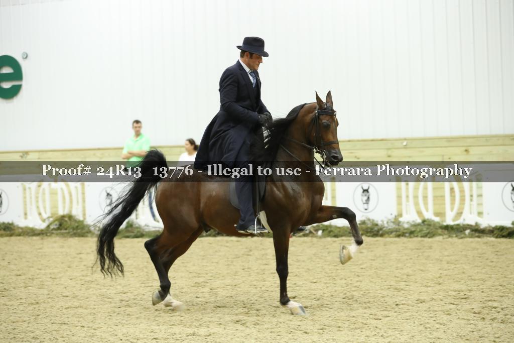 Proof 24R13_13776