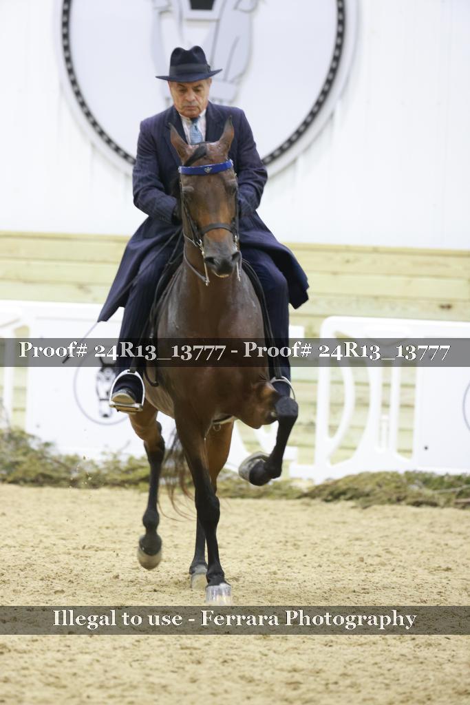 Proof 24R13_13777