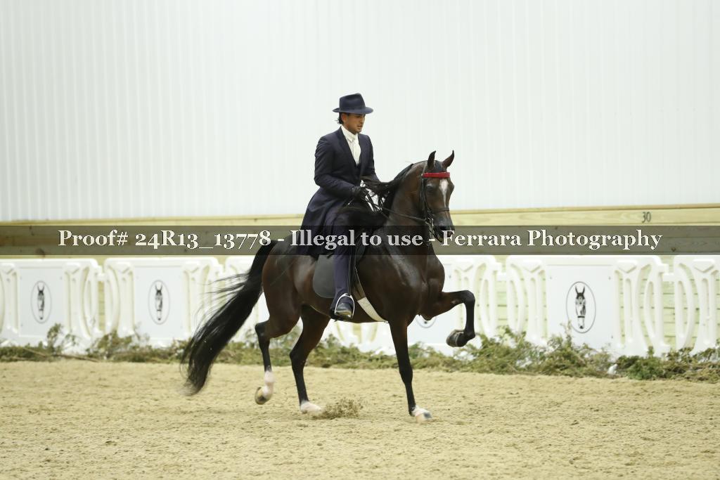 Proof 24R13_13778