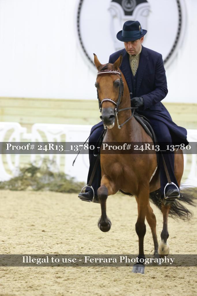 Proof 24R13_13780