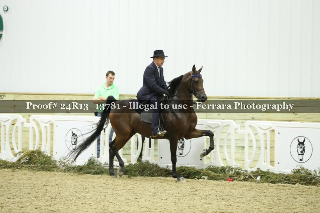 Proof 24R13_13781