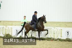 24R13_13781 proof