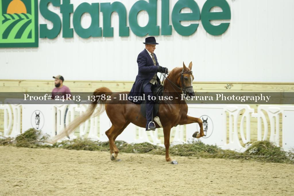 Proof 24R13_13782