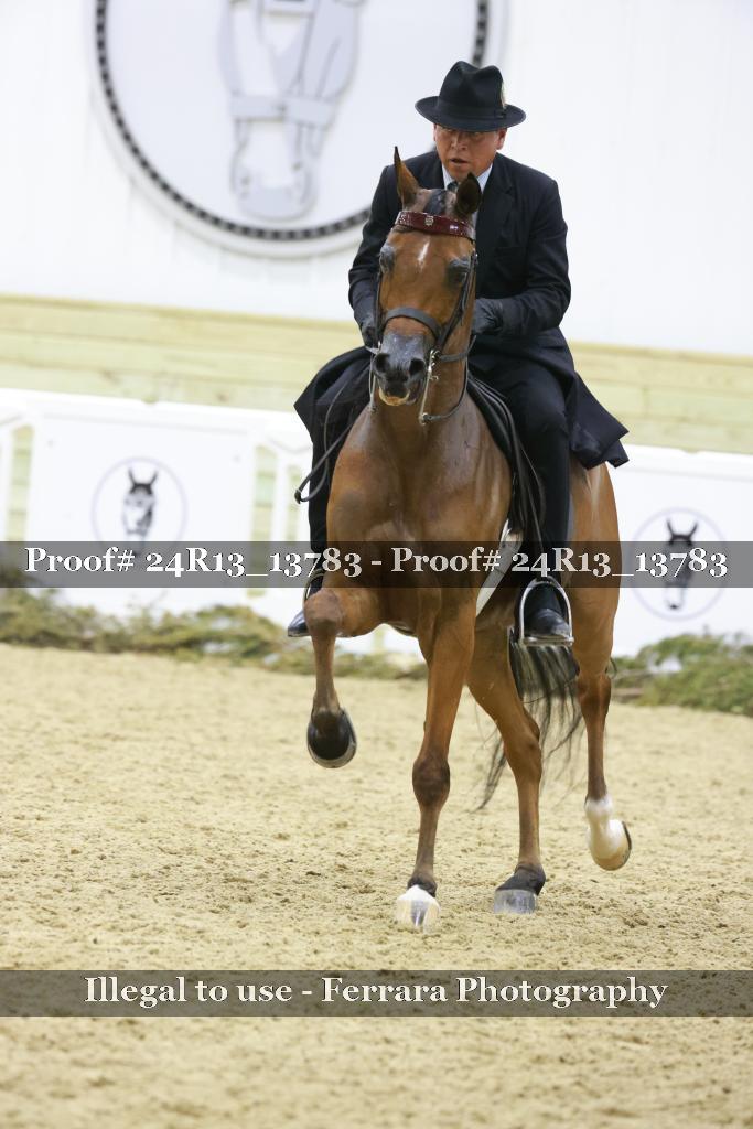 Proof 24R13_13783