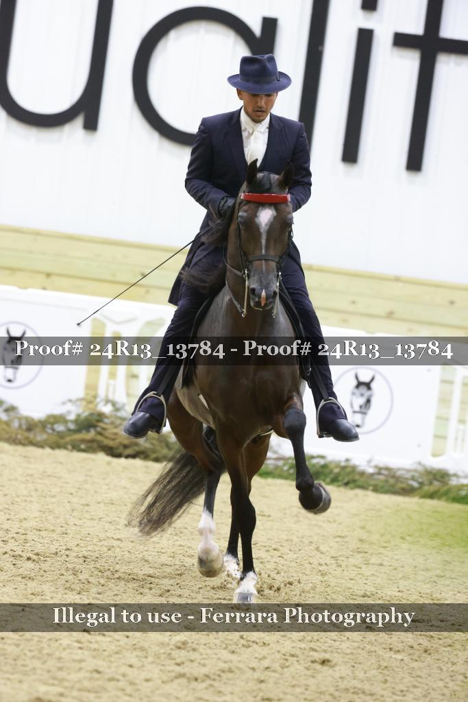 Proof 24R13_13784
