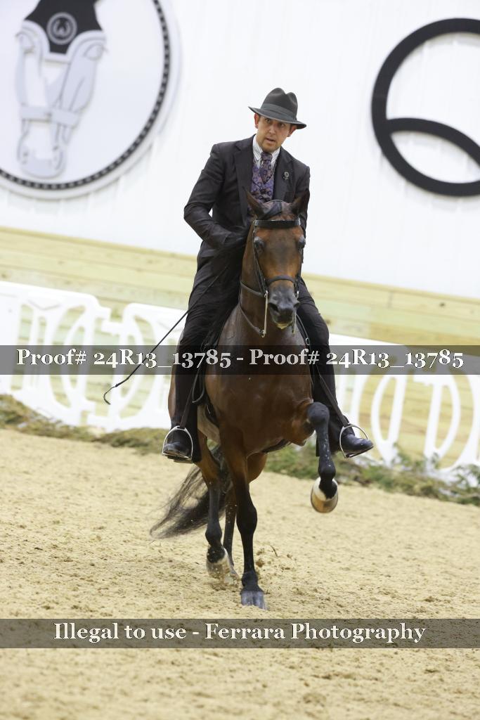 Proof 24R13_13785