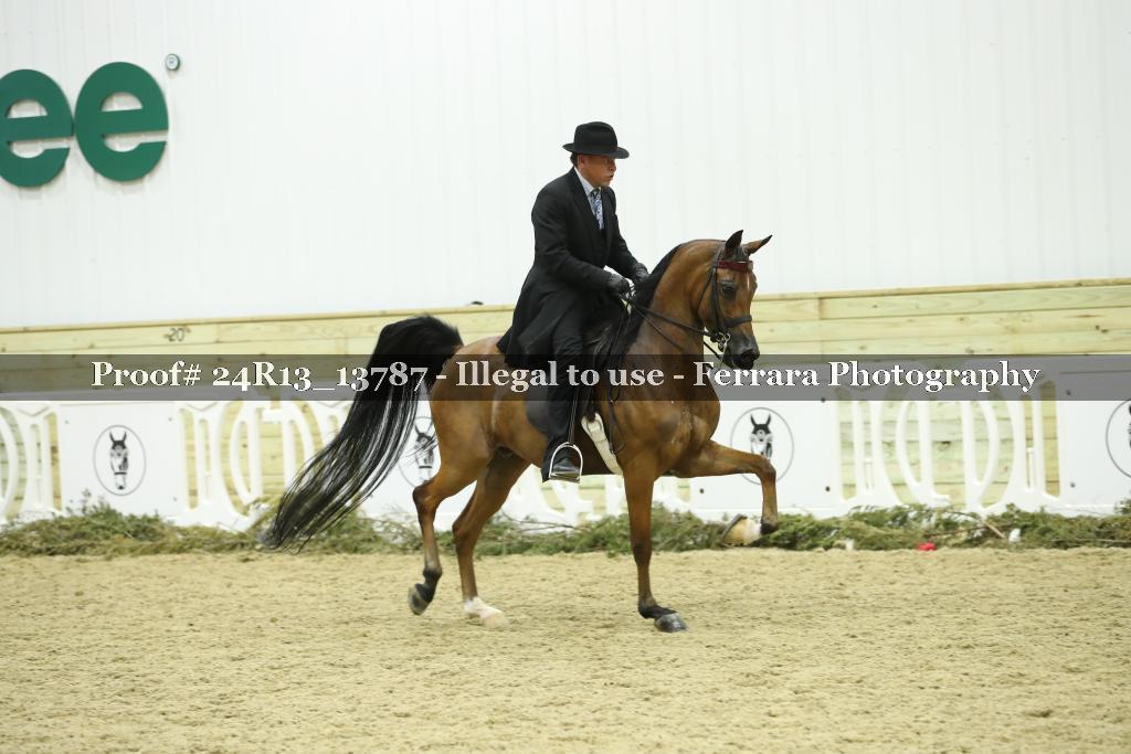Proof 24R13_13787